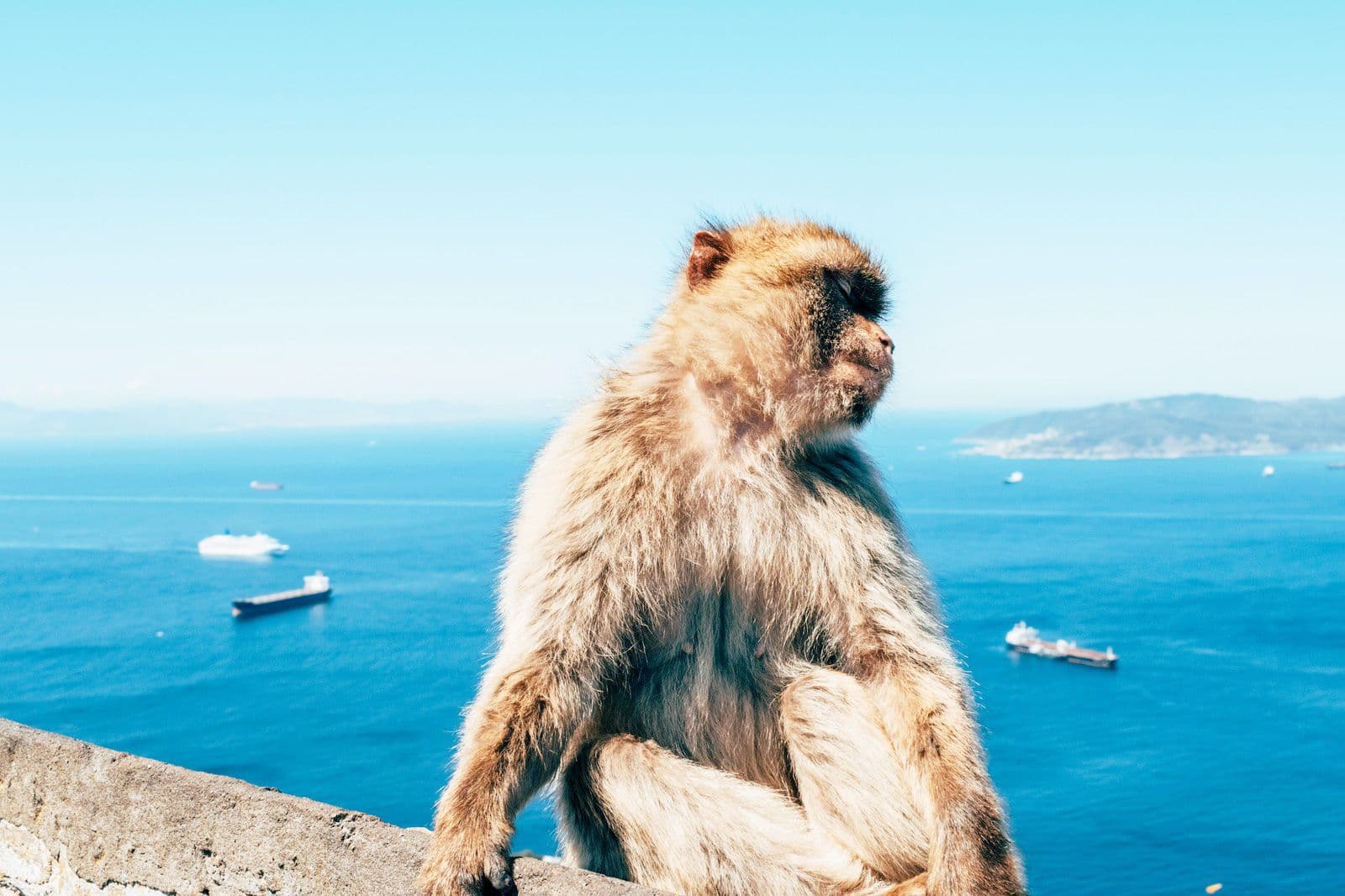 Gibraltar destination