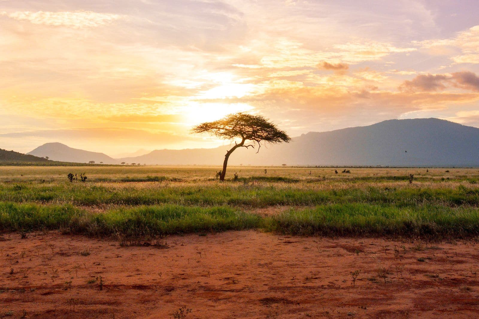 Kenya destination