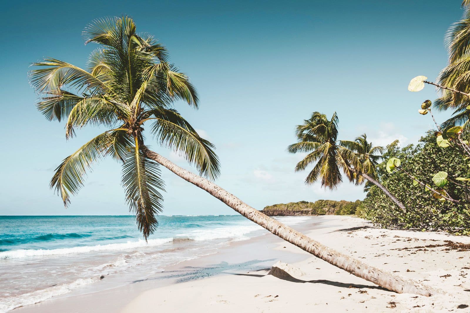 Martinique destination
