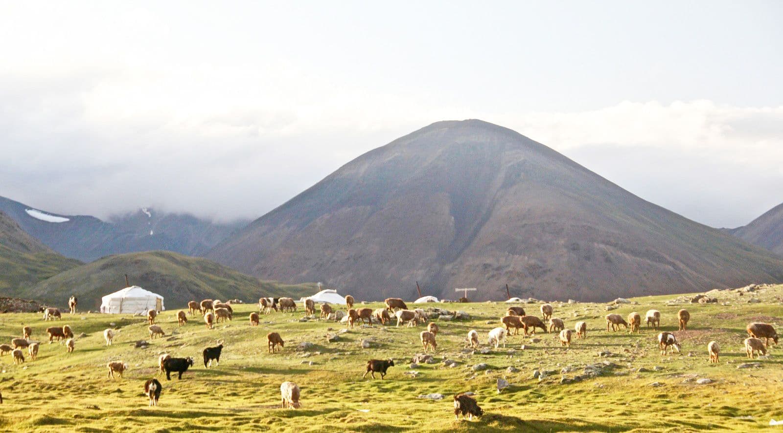 Mongolia destination