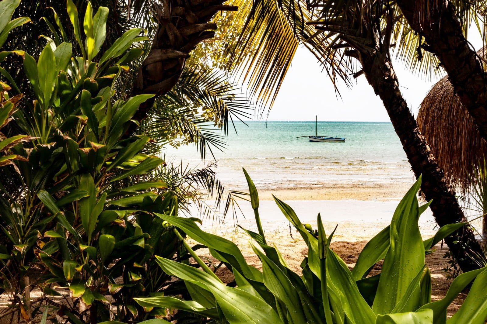 Mozambique destination