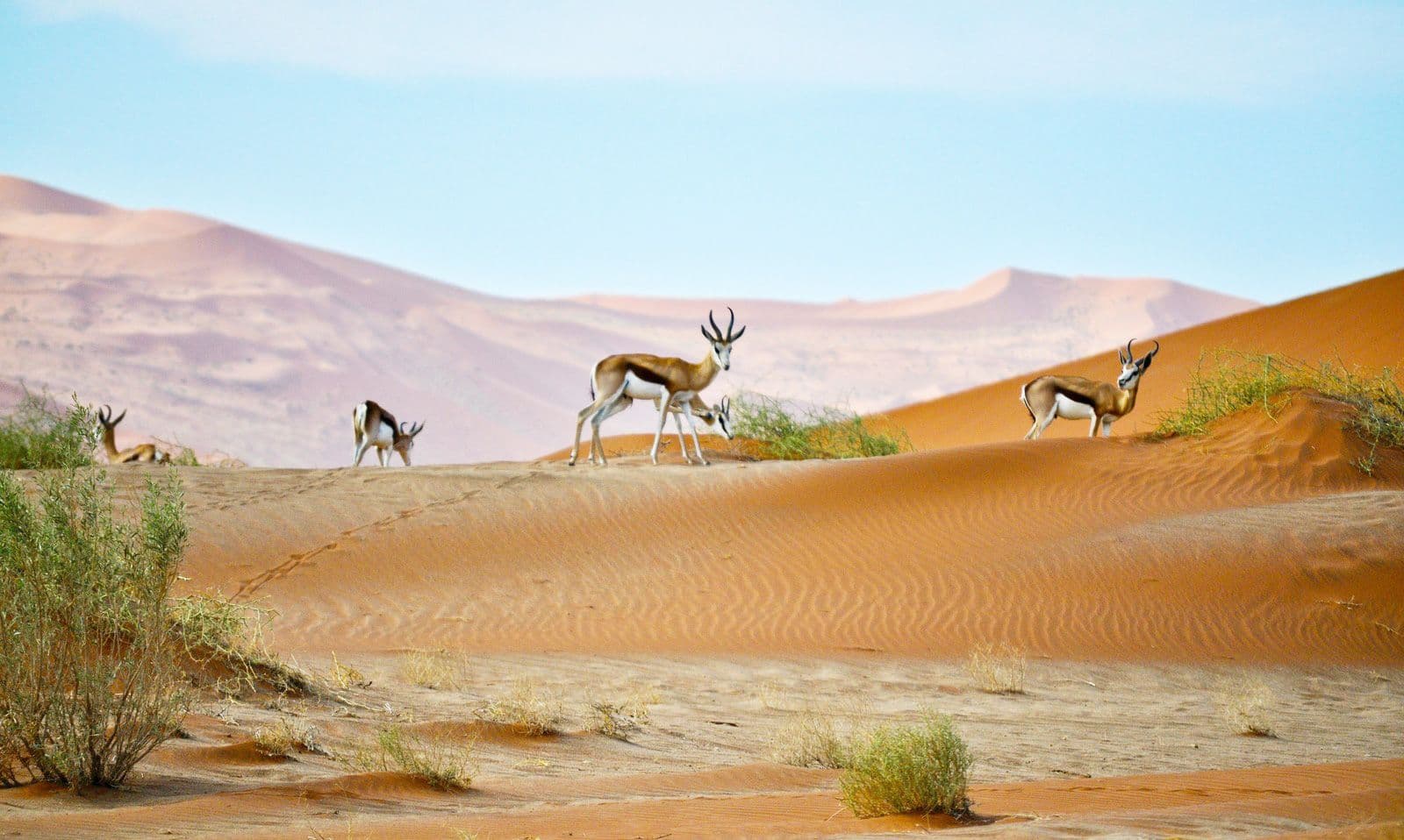 Namibia destination