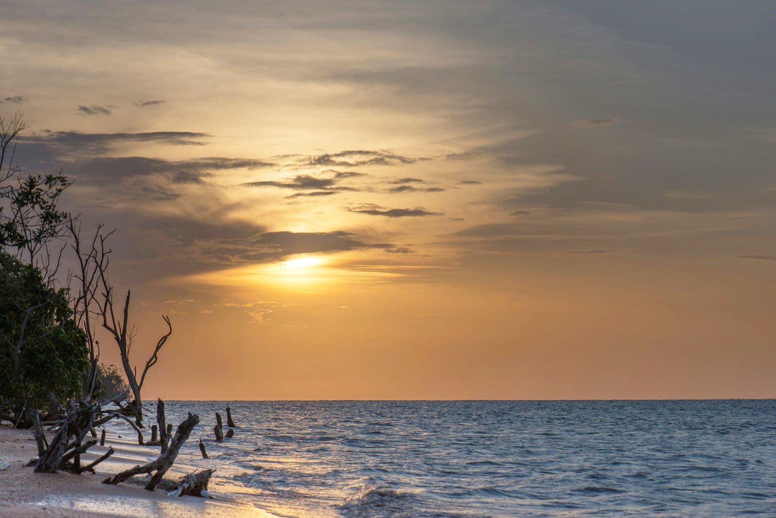 Suriname destination