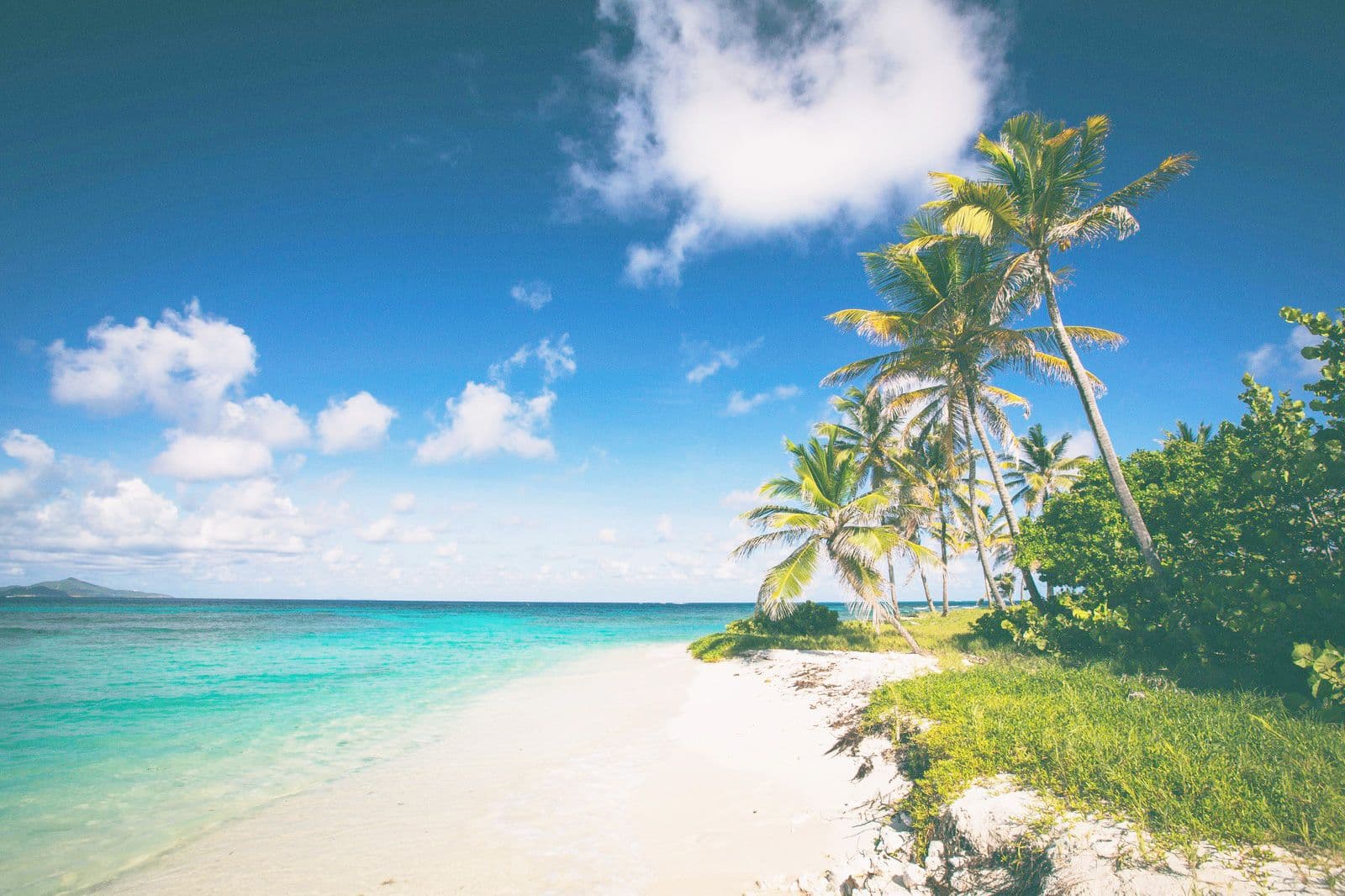 Caribbean