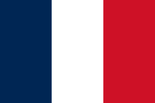 Flag of Saint Martin French